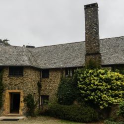 Photos