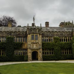 Photos
