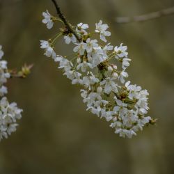 Photos