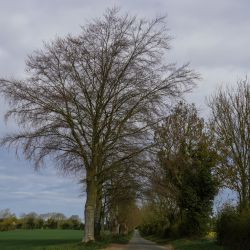 Photos