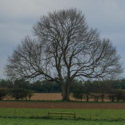 Photos