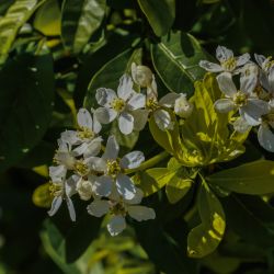 Photos