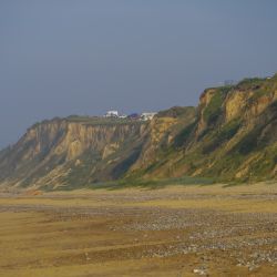 Photos