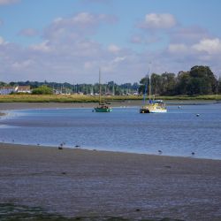 Photos
