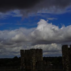 Photos